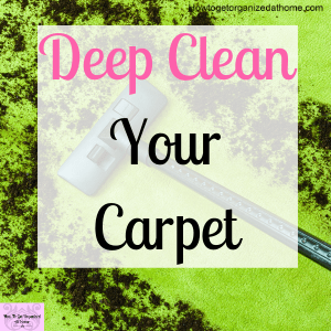 Simple tips and ideas on getting your carpets clean before the holidays. It might not be as difficult as you might think.