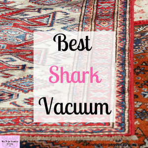 What’s The Best Shark Vacuum Cleaner For Your Money?