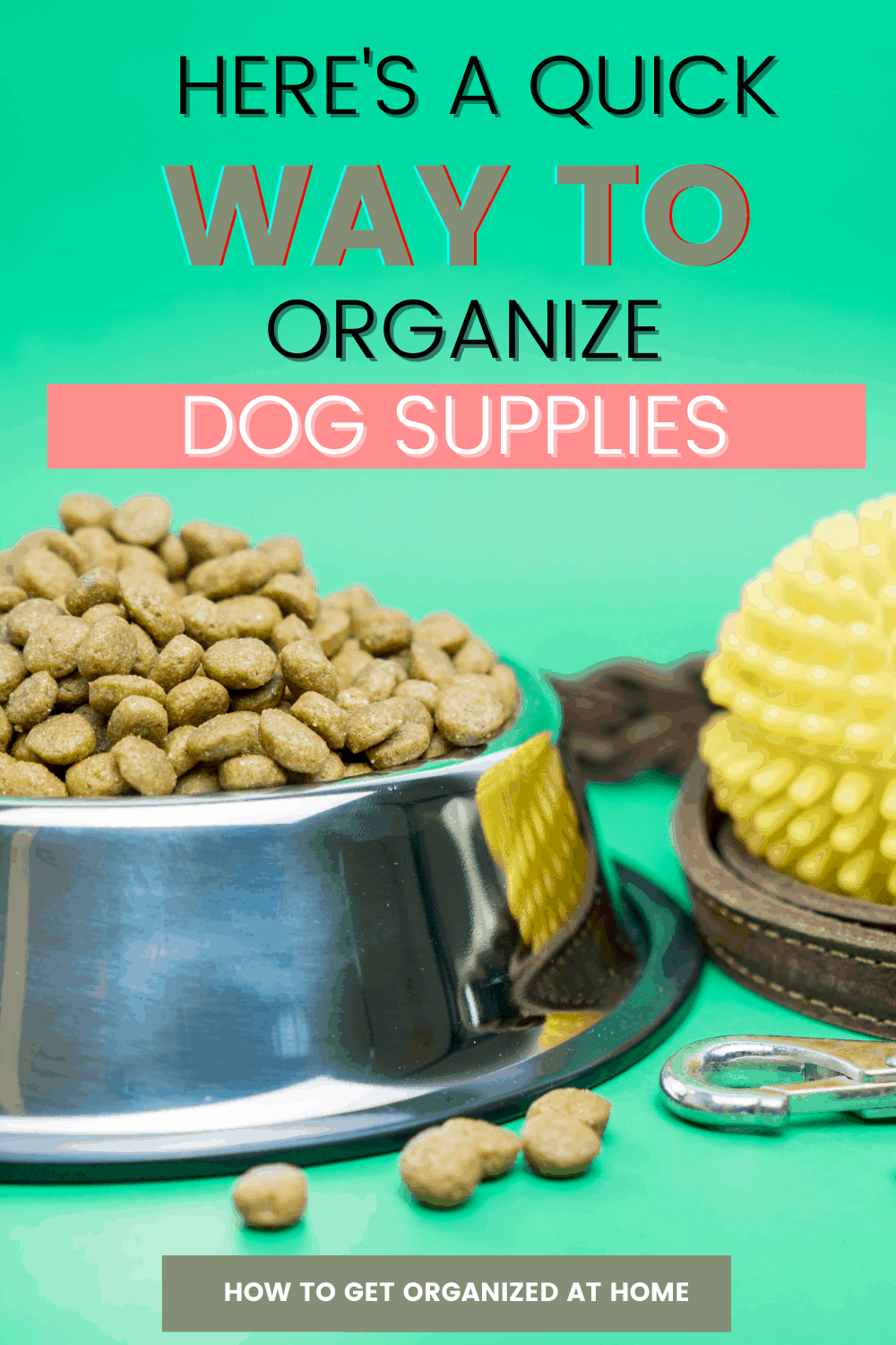 How To Organize Your Dog Supplies? How To Get Organized At Home