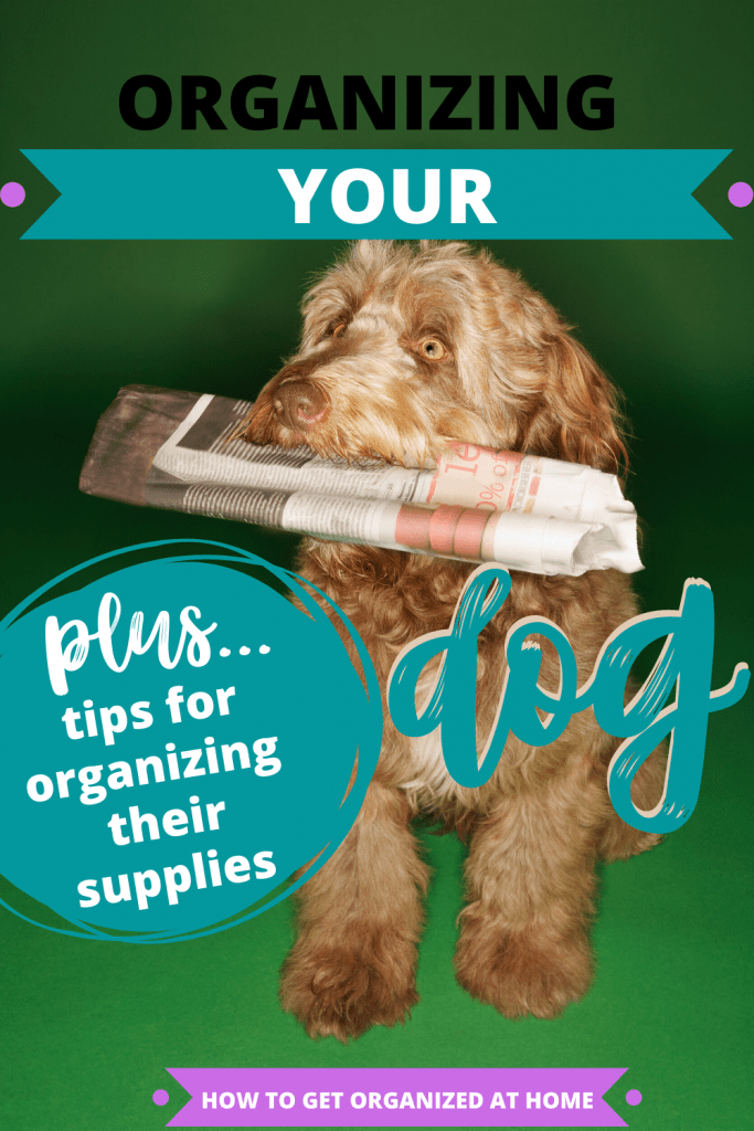 how do i organize my dogs stuff