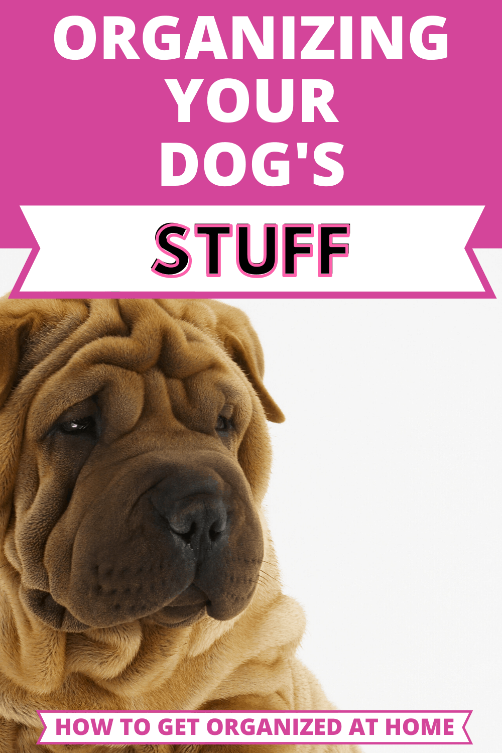 How To Organize Your Dog Supplies? How To Get Organized At Home