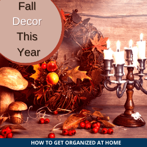 Wondering When You Will Find Fall Decorations On Sale?