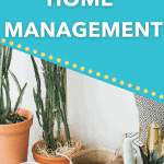 home management essay