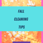 Home Fall Cleaning Tips