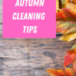 Get Your Home Clean This Fall