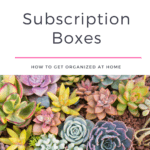 succulent subscription boxes