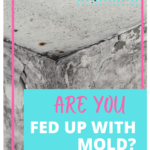 Do You Wish Mold Would Do One?