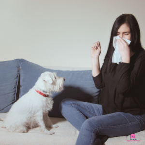 20 Easy Cleaning Tips To Actually Help Allergy Sufferers