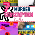 top murder subscription boxes