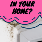 Do You Have An Issue With Mold Or Damp?