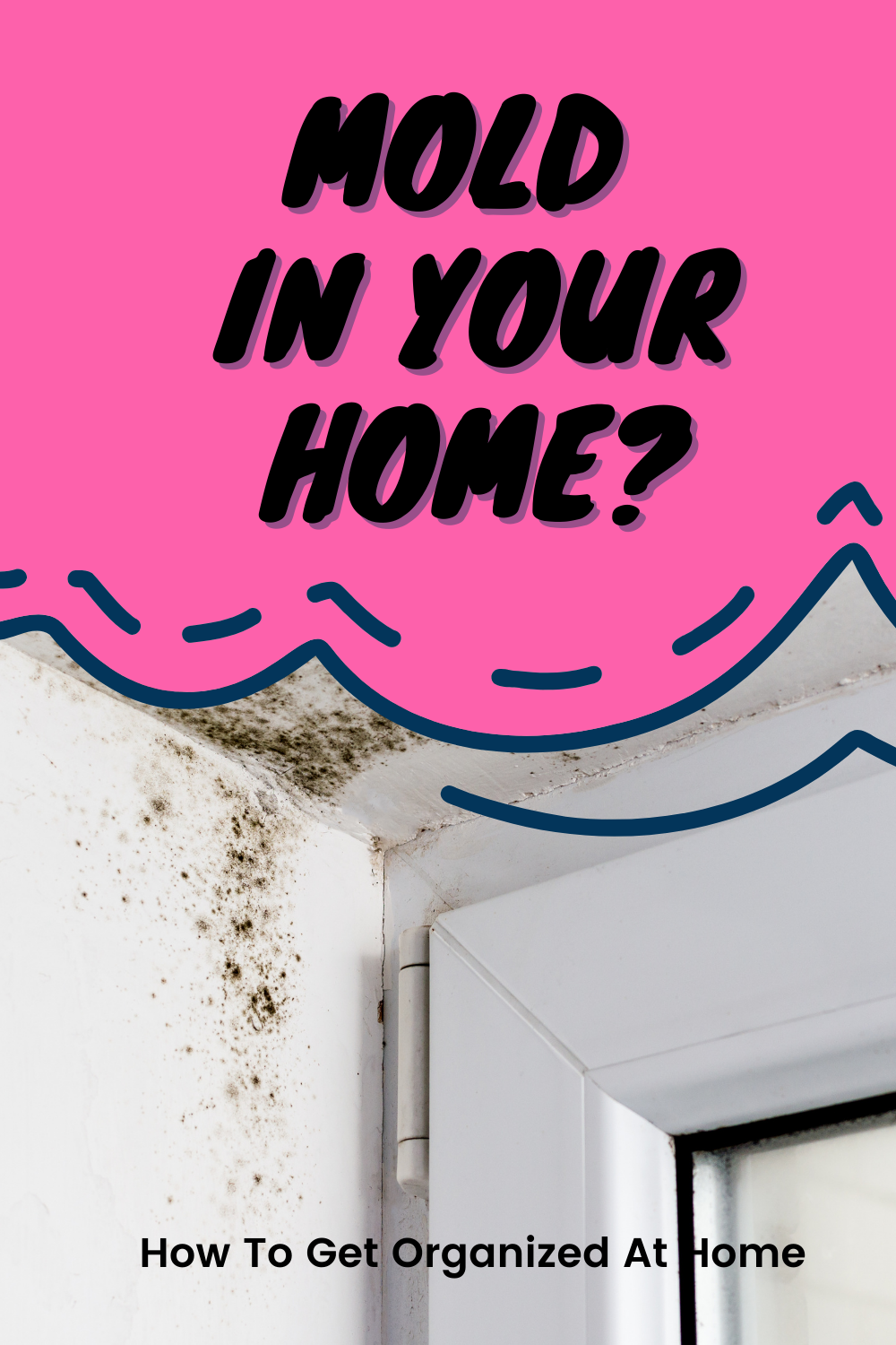 How To Get Rid Of Mould And Damp In Your Home