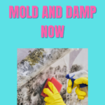 Mold Doesn’t Have To Be Part Of Your Home