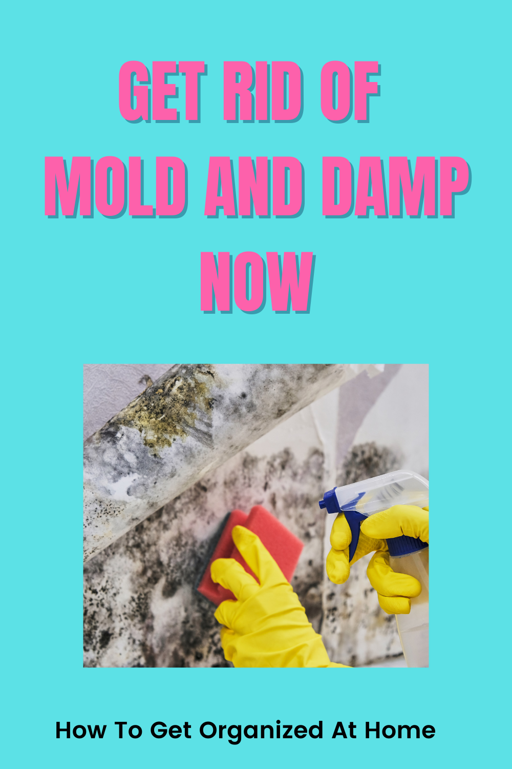 How To Get Rid Of Mould And Damp In Your Home