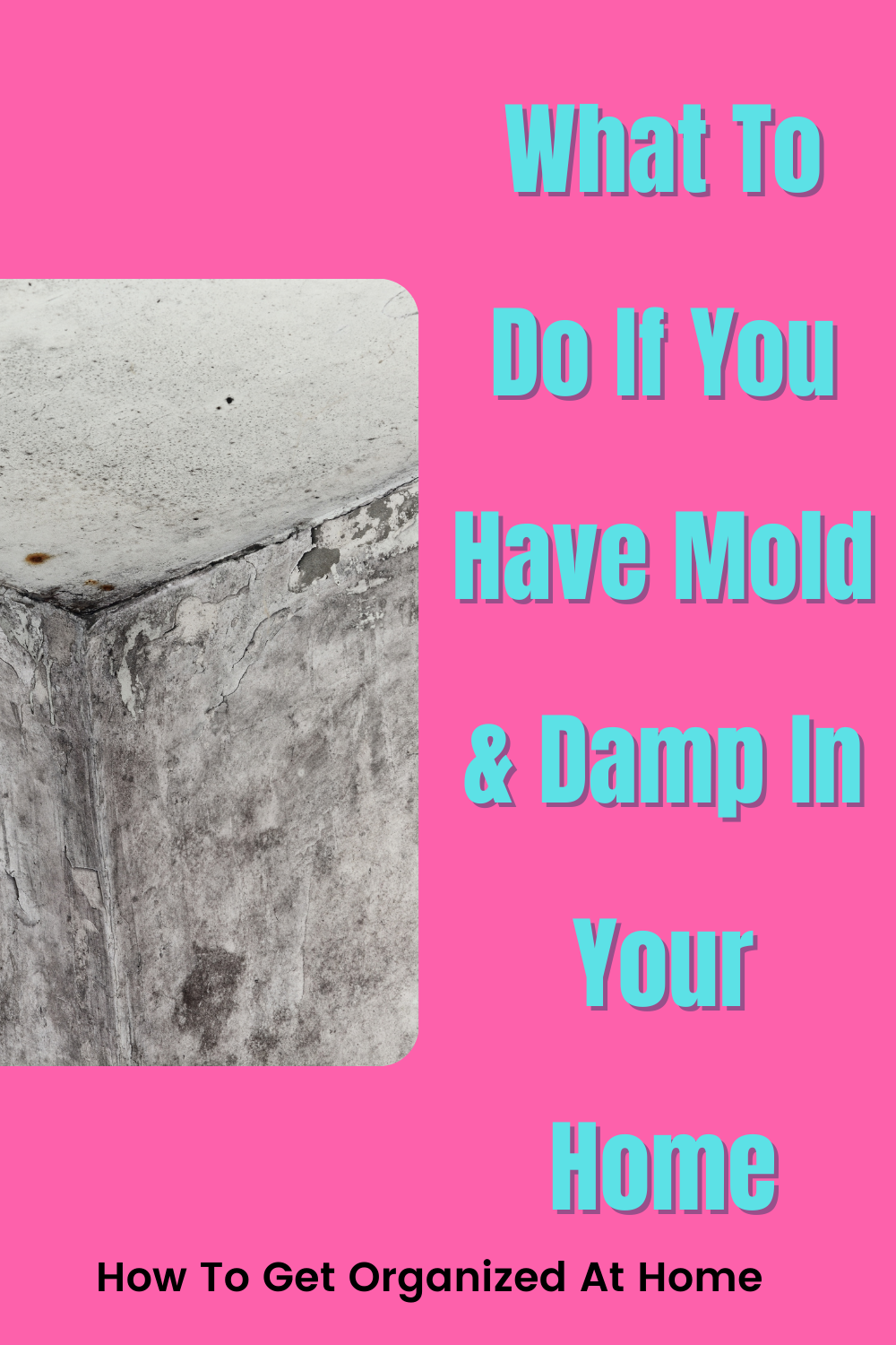 How To Get Rid Of Mould And Damp In Your Home