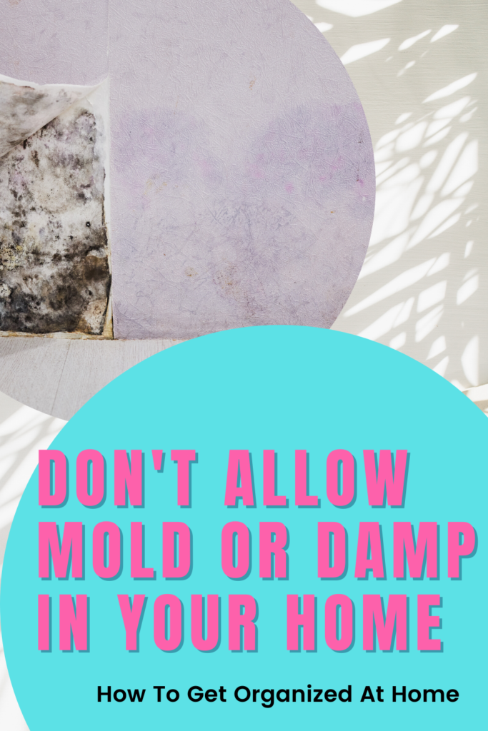 Issues With Mold And Damp