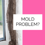Do You Have Moldy Windows