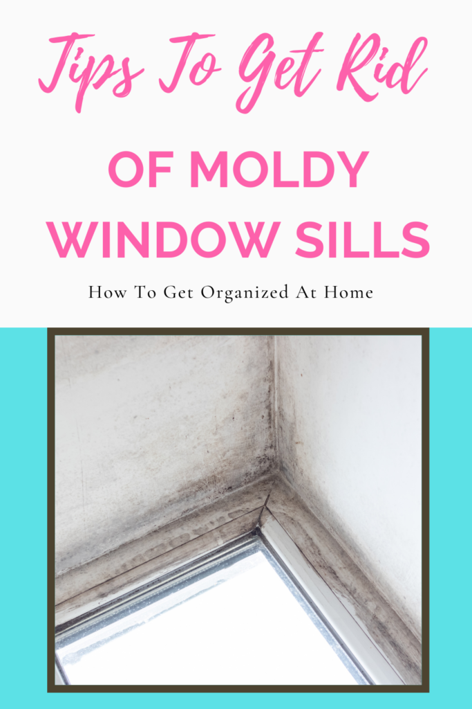 Don’t Let Mold Stay In Your Home