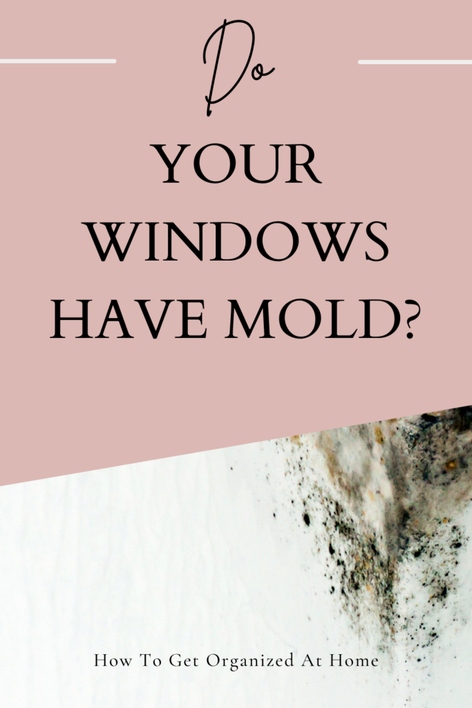 Mold Issues?
