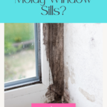 Moldy Window Sills?