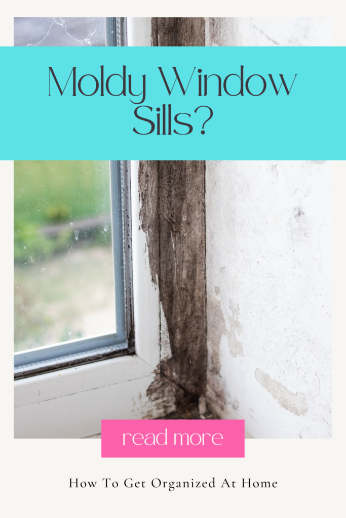 Moldy Window Sills?