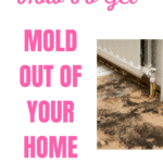 how to get organizied at home