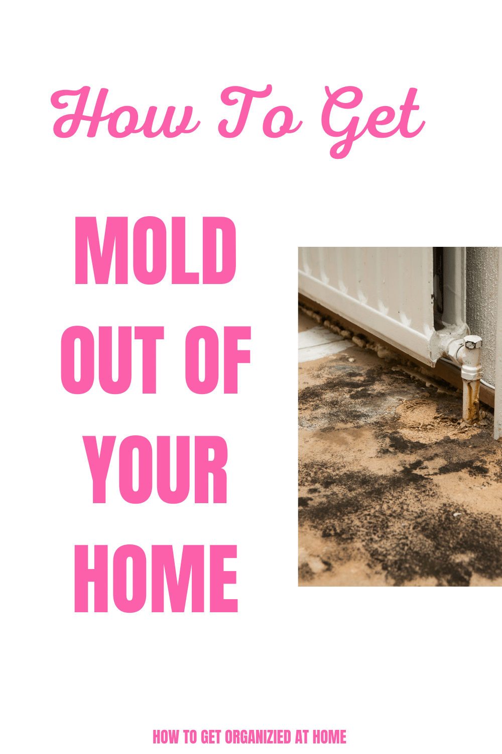 how-to-get-rid-of-mold-simply-and-easily-from-your-home