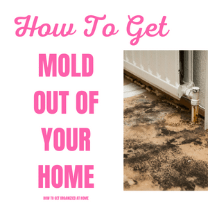 How To Get Rid Of Mold Simply And Easily From Your Home