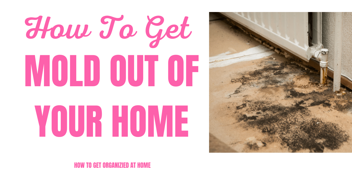 How To Get Rid Of Mold Simply And Easily From Your Home