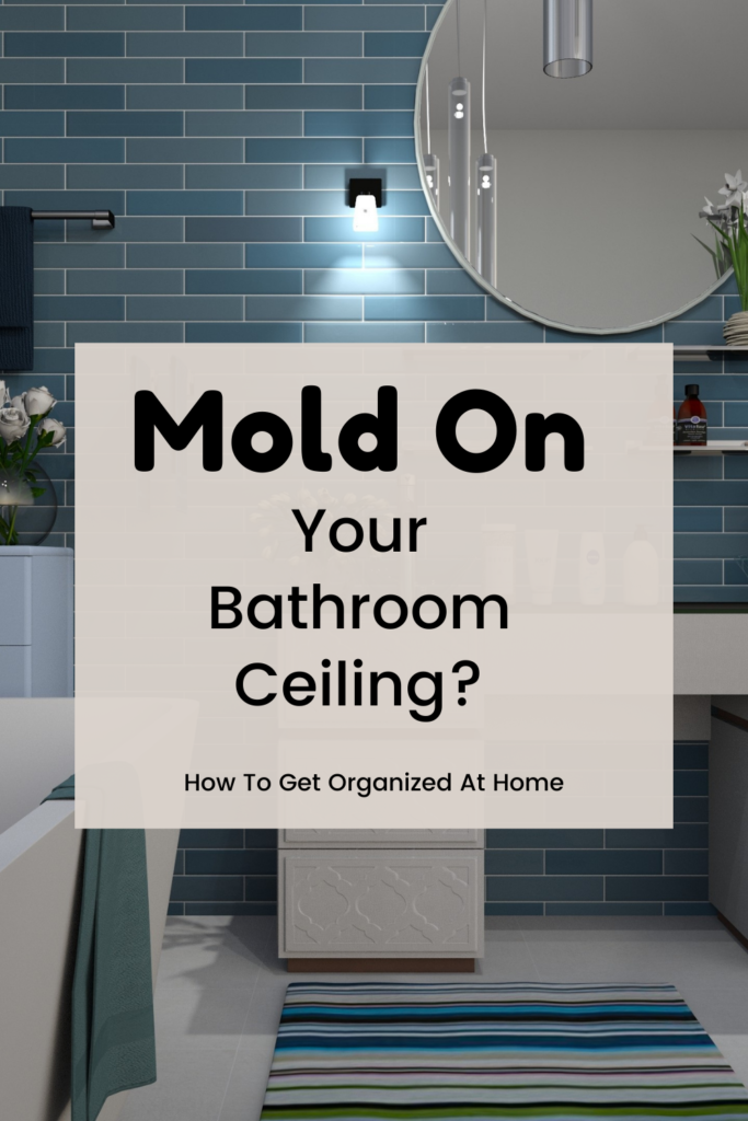Tips To Avoid A Moldy Ceiling