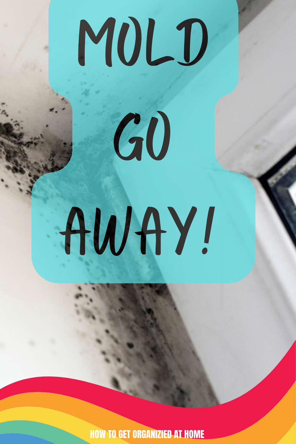 How To Get Rid Of Mold Simply And Easily From Your Home