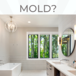Tips To Avoid A Moldy Ceiling