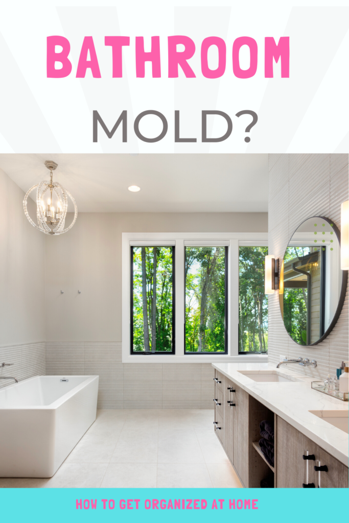 Tips To Avoid A Moldy Ceiling