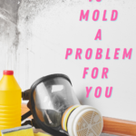 Don’t Let Mold Set Up Home
