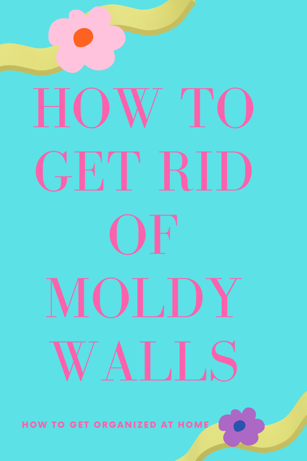 how-to-remove-mold-from-painted-walls