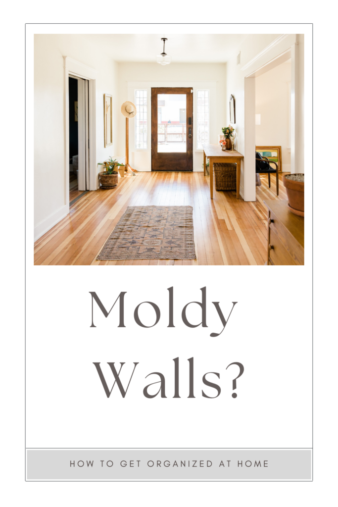 Cleaning Moldy Walls With No Bleach