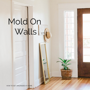 How To Remove Mold From Painted Walls