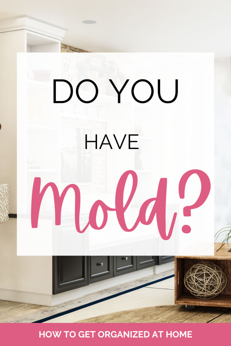 How To Remove Mold From Plastic Without Bleach