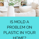 Simple Tips To Getting Rid Of Mold