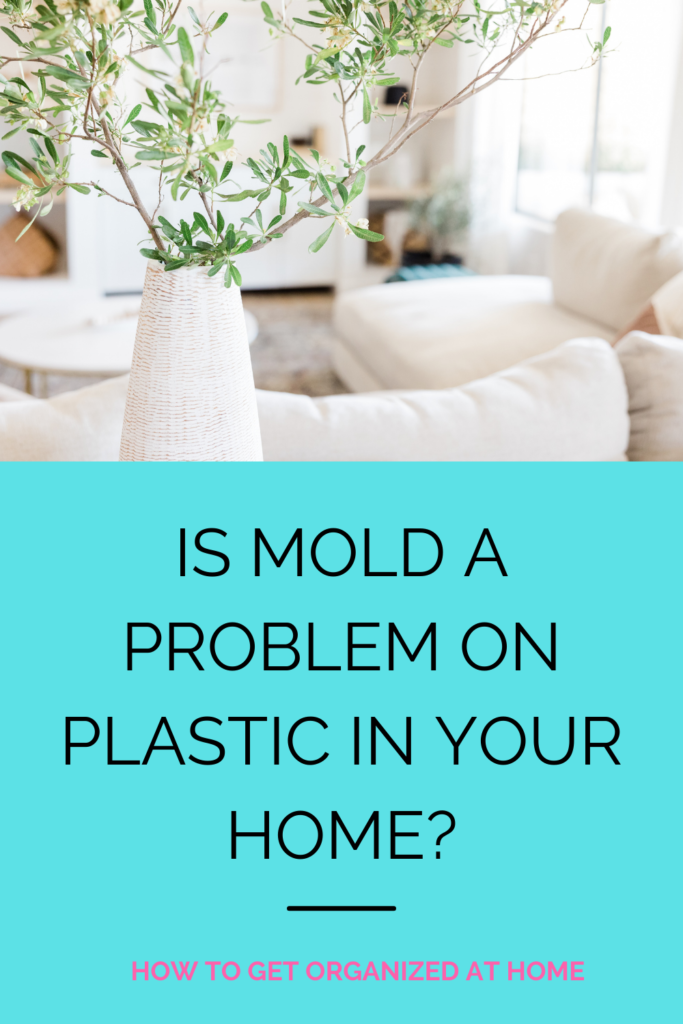 Simple Tips To Getting Rid Of Mold