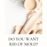 Easy Mold Removing Tips