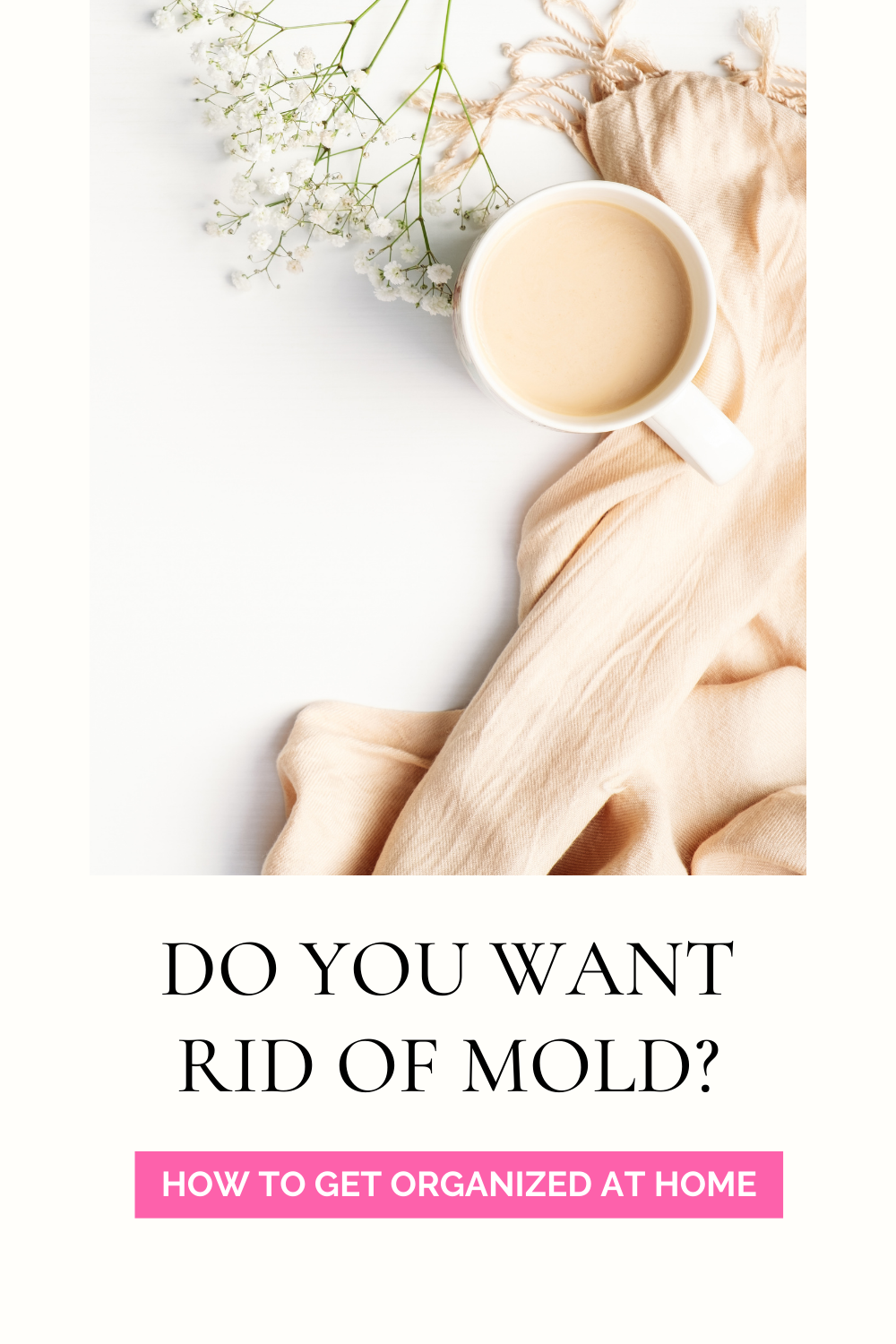 how-to-remove-mold-from-plastic-without-bleach