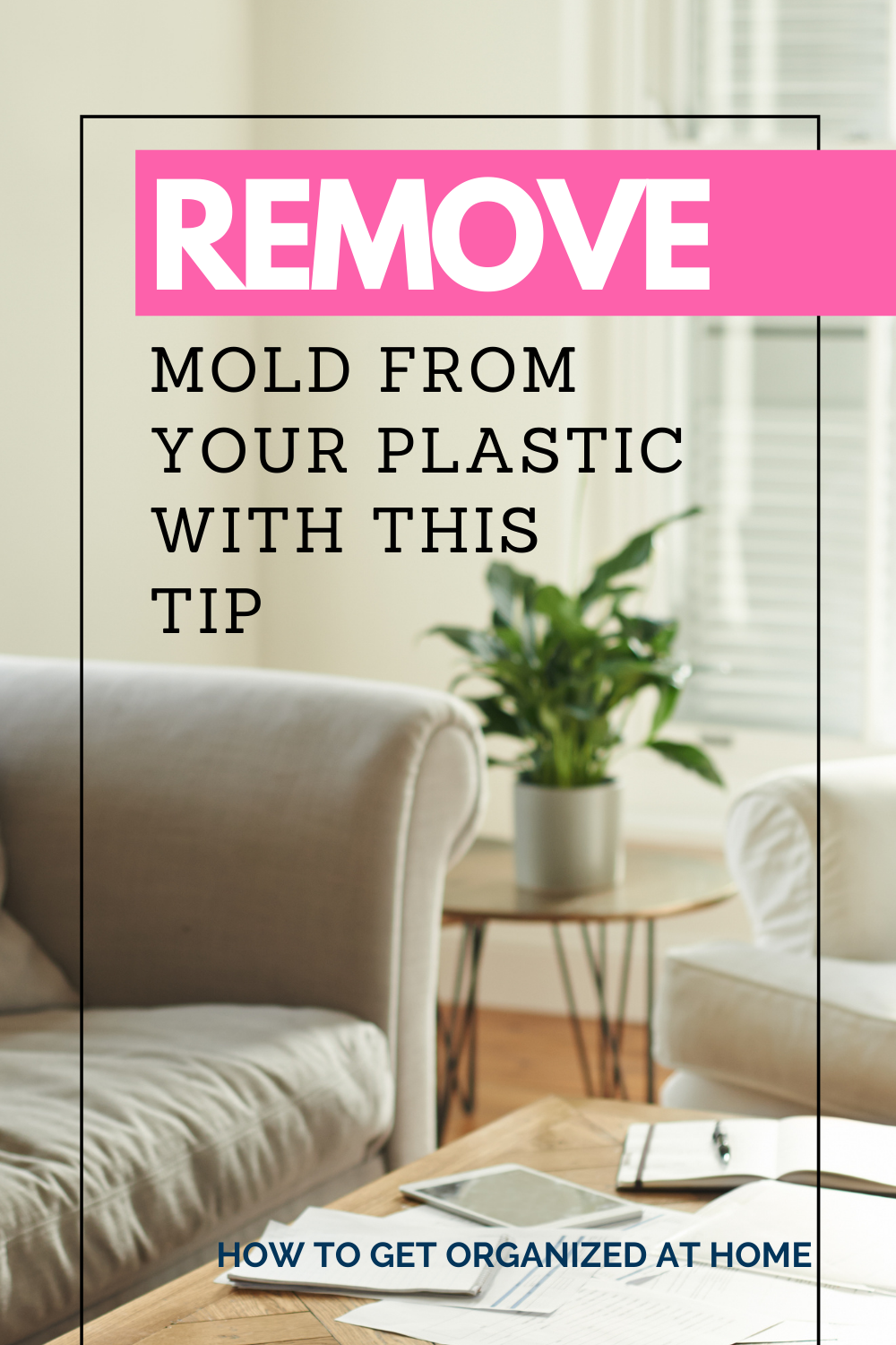 how-to-remove-mold-from-plastic-without-bleach