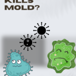 Have You Ever Wondered What Kills Mold?