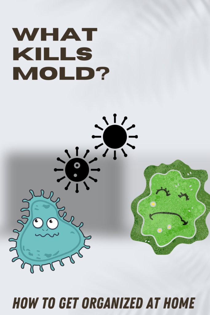 Have You Ever Wondered What Kills Mold?