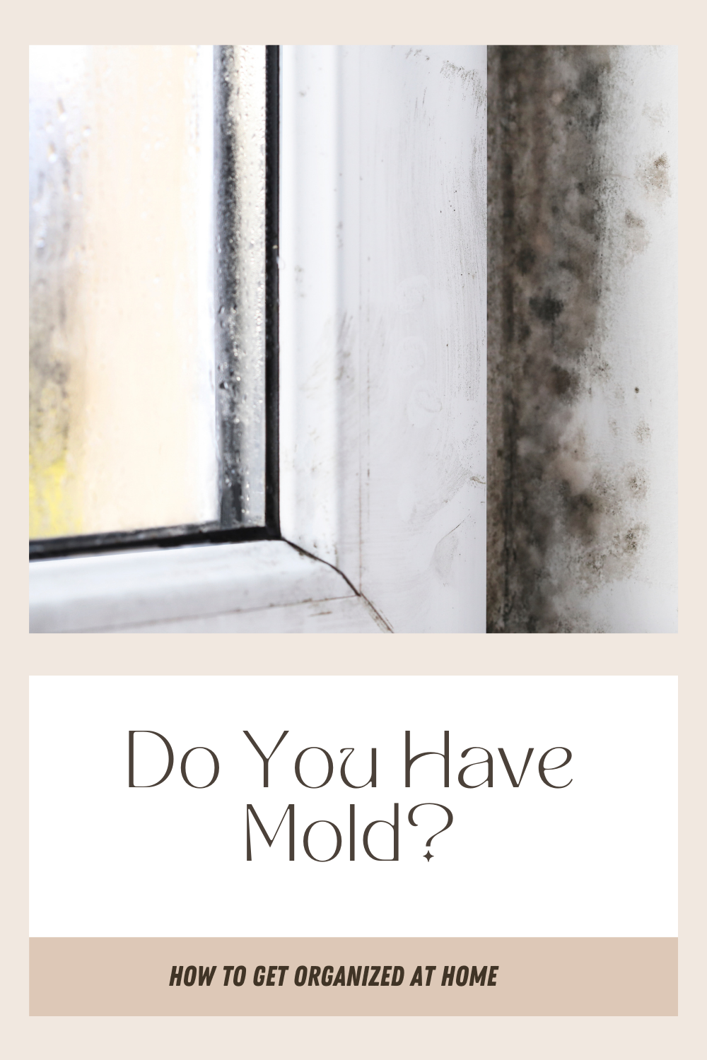 What Is The Best Mold Killer How To Get Organized At Home   6 1 