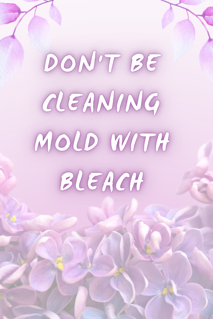 Bleach Doesn’t Kill Mold