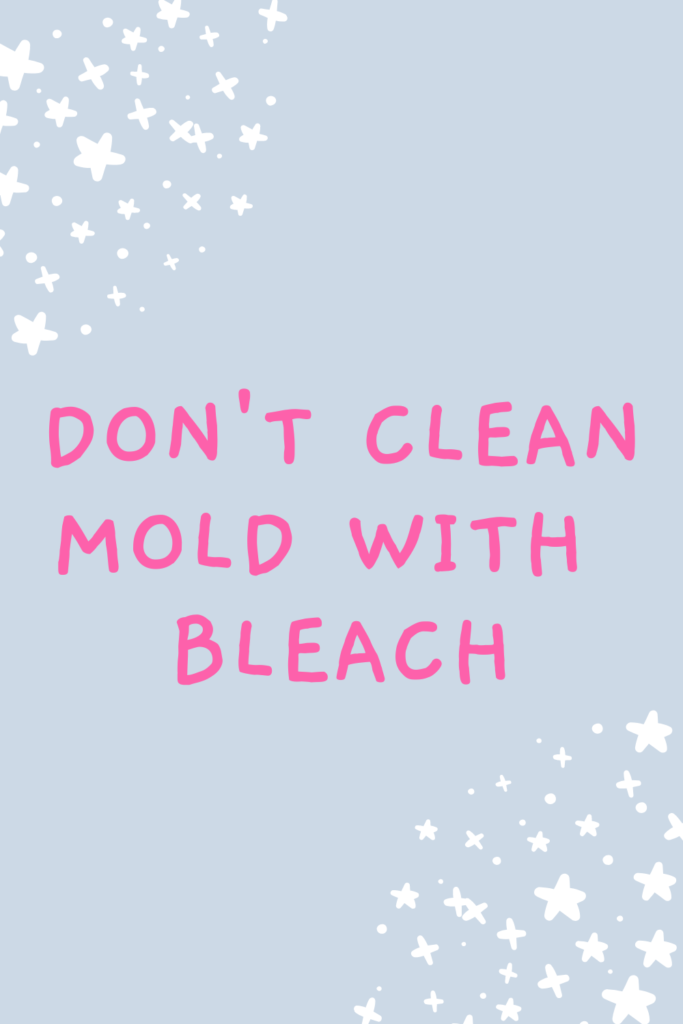 Bleach Doesn’t Kill Mold