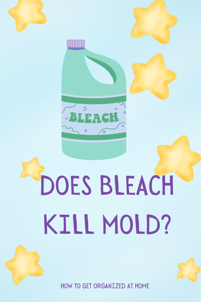 Mold Isn’t Killed By Bleach