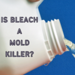 Don’t Use Bleach On Mold