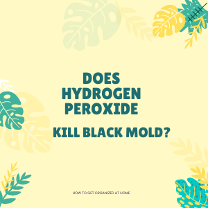 Does Hydrogen Peroxide Kill Black Mold